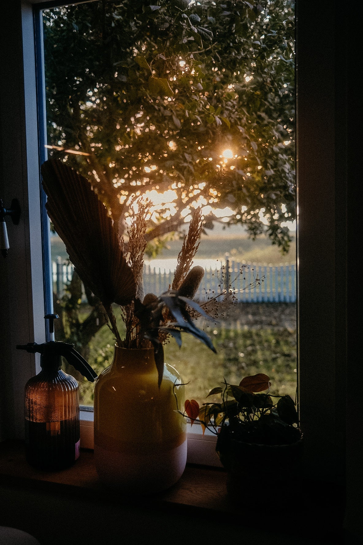 Blick aus dem Fenster vom Gästehaus auf den Angelteich. Urlaub bei Fynn Kliemann auf Nordstrand.